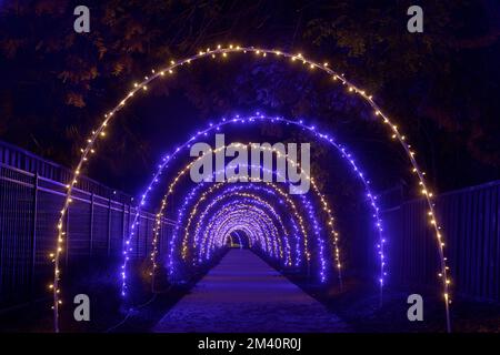 Weihnachtsbeleuchtung in der Bay Area, Kalifornien Stockfoto