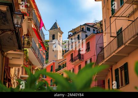 Traditionelle farbenfrohe Häuser an einer Straße in der Altstadt mit Blick auf den Glockenturm von Chiesa di San Lorenzo, Manarola in Cinque Terre, Italien Stockfoto