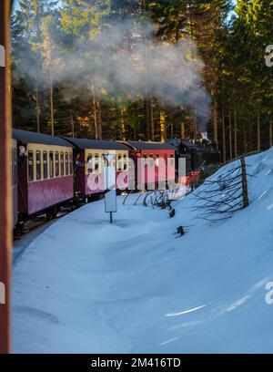 Dampfeisenbahn im Winter im Schneefest im Harz-Nationalpark Deutschland, Dampfeisenbahn Brocken Bahn auf dem Weg durch die Winterlandschaft, Brocken, Harz Deutschland Stockfoto