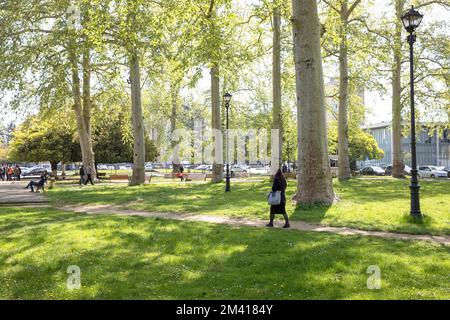 Schöner friedlicher Park mit alten Bäumen im Zentrum von Ozurgeti an einem sonnigen Frühlingstag, Georgia, Europa Stockfoto