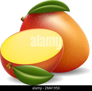 Reife tropische Mango Stock Vektor