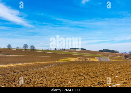 Strohballen und Gülle auf dem Feld. Frühlingsfelder und Vorbereitung auf die Landwirtschaft. Typisch tschechisches Land, Bäume und blauer Himmel. Stockfoto