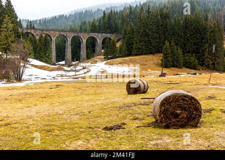 Die Slowakei trainiert die historische Brücke des Viadukts im Wald und in den Bergen. Historische Eisenbahn und Transport. Wiese mit Schnee im Vordergrund, verschneite Wint Stockfoto