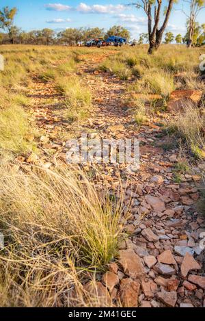 Einheimisches australisches Mitchell Grass (Astrebla lappacea) wächst zwischen sedimentären Sandsteinfelsen auf Mount Oxley an der Outback Rossmore Station Stockfoto