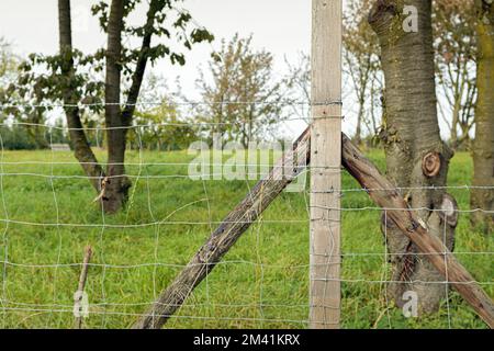 Einfacher Gartenzaun aus Holzpfosten und Stacheldraht Stockfoto