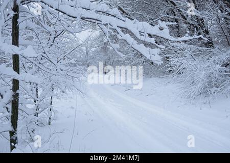 Winterlicher Schneefall auf der Straße. Eine leere Landstraße ohne Autos, bedeckt mit Schneeverwehungen. Reisen Sie bei schlechtem Wetter. Winter wolkige Landschaft mit einer Landstraße. T Stockfoto