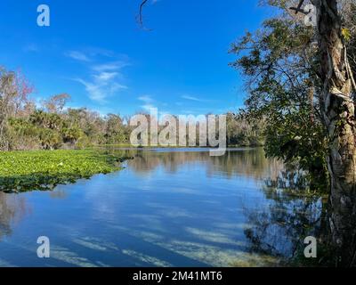 Ein klarer Frühling in Florida in Orlando, Florida. Stockfoto