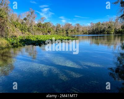 Ein klarer Frühling in Florida in Orlando, Florida. Stockfoto