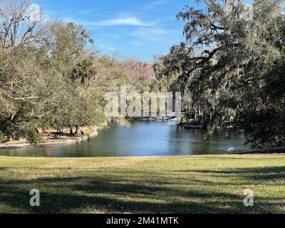 Orlando, Florida, USA - 14. Januar 2021: Die Wanderwege im Wekiwa State Park in Orlando, Florida. Stockfoto