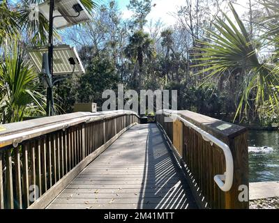 Orlando, Florida, USA - 14. Januar 2021: Die Wanderwege im Wekiwa State Park in Orlando, Florida. Stockfoto