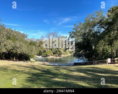 Orlando, Florida, USA - 14. Januar 2021: Die Wanderwege im Wekiwa State Park in Orlando, Florida. Stockfoto