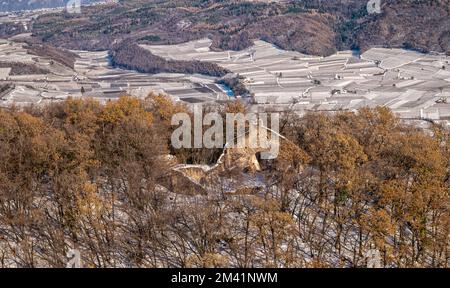 Blick auf die Weinberge des Dorfes Caldaro auf der Südtiroler Weinstraße in der Nähe von Bozen in Südtirol, Norditalien, Europa. Trentino Alto Adige Stockfoto