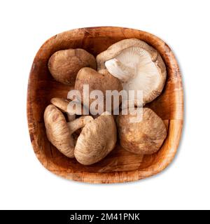 Shitake Pilze in einer Schüssel isoliert auf weißem Hintergrund. Stockfoto