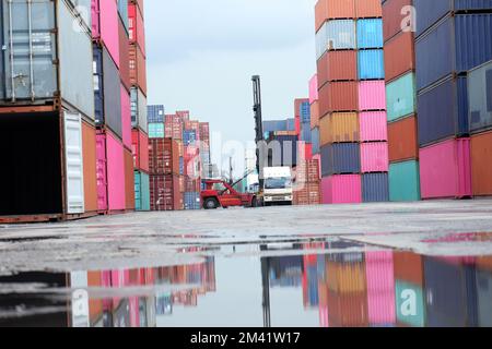 Gabelstapler, die Fracht transportieren, Containerkästen im Logistikhof mit Stapeln von Containern im Hintergrund. Stockfoto