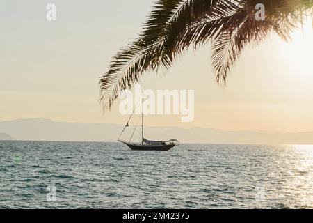 Ein Sonnenuntergang auf einem Segelboot in den blauen Wellen des Meeres mit Palmenzweigen darüber Stockfoto