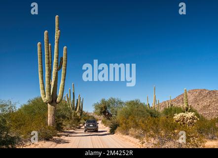 Giant saguaro, SUV, San Cristobal Wash Area, El Camino del Diablo, Cabeza Prieta Natl Wildlife Refuge, Arizona, USA Stockfoto