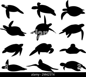 Vektorschildkröten auf isoliertem weißem Hintergrund. Silhouetten. Symbolgruppe. Stock Vektor