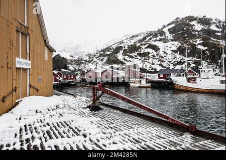 Fischerboote im Hafen, Norwegen Stockfoto