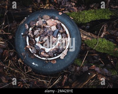 Reifen in braune Blätter auf dem Boden liegend abgedeckt Stockfoto