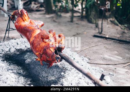 Langsames Kochen des beliebten, allzeit beliebten, köstlichen, gebratenen knusprigen Schweins oder Lechon Baboy unter brennenden Holzkohlen mit Behelfsfäule Stockfoto