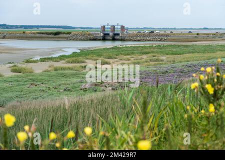 Blick über die Flussmündung von Le Crotoy. Stockfoto