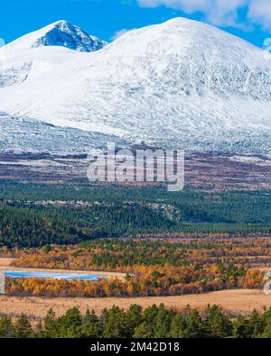 Bäume vor der schneebedeckten Berglandschaft Stockfoto