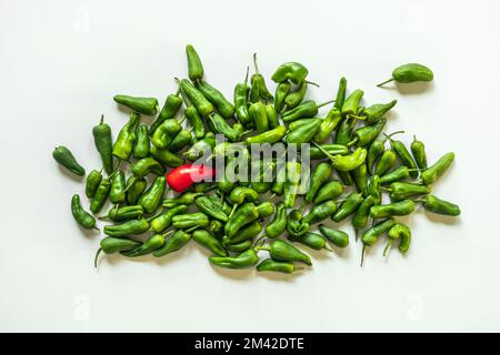 Ein Haufen grüner Padrón-Paprika und ein einsamer roter Paprika auf glatter, weißer Oberfläche Stockfoto