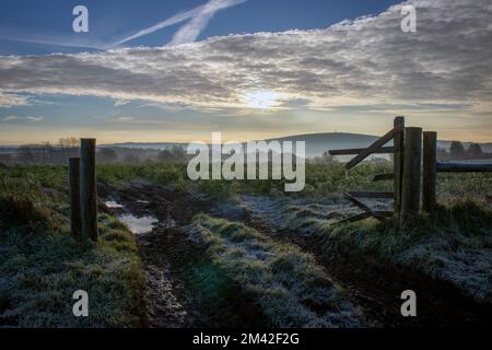 Frostiger, nebiger Morgen Anfang Dezember, mit Blick durch ein kaputtes Tor in Richtung Stoke Climsland in Cornwall. Kit Hill und Marilyn Hill. Stockfoto