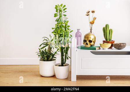 Goldener dekorativer Schädel auf einem weißen Sideboard mit Kakteen und anderen dekorativen Pflanzen Stockfoto