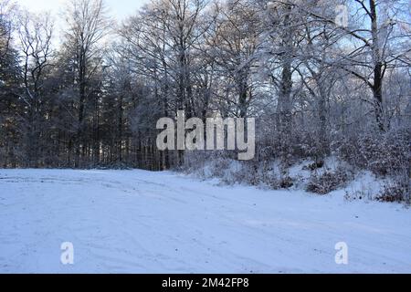Schneebedeckter Parkplatz im Wald Stockfoto