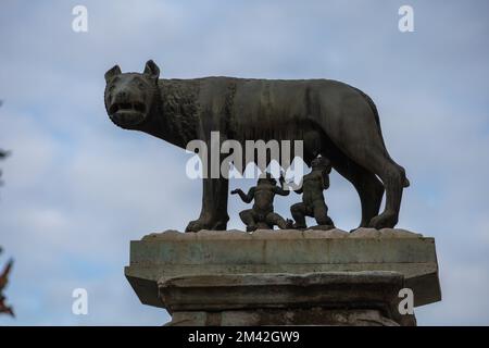 Der Kapitolinische Wolf ist eine Bronzeskulptur der legendären Gründung Roms. Die Skulptur, eine Wölfin, die die mythischen Gründer Romulus und Remus saugt. Stockfoto