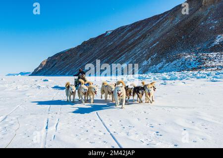 Hundeschlittenfahrt auf dem gefrorenen Meer vor dem Berg. Stockfoto