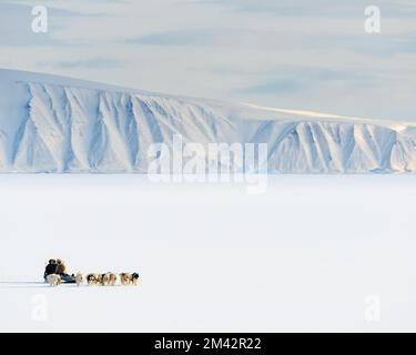 Hundeschlittenfahrt auf dem gefrorenen Meer vor der Bergkette. Stockfoto