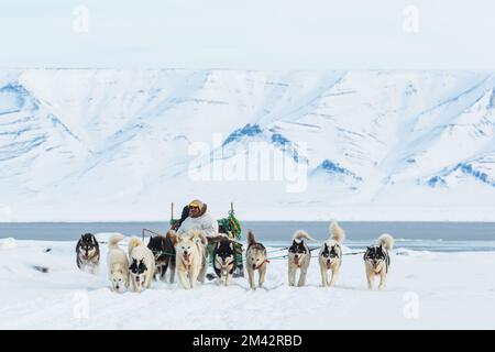 Hundeschlittenfahrt auf dem gefrorenen Meer vor der Bergkette. Stockfoto