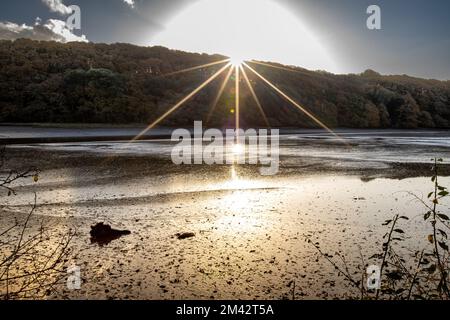 Sunburst bei Low Tide am Fluss Tresillian Nr Truro, Cornwall Stockfoto