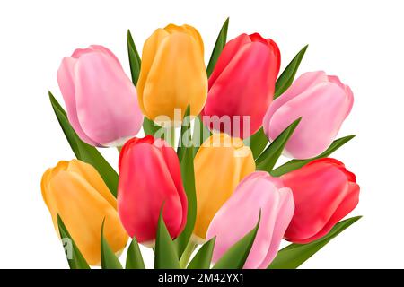 Strauß mehrfarbiger Tulpen auf weißem Hintergrund. Das Konzept von Muttertag, Frauentag. Vektorbild. Stock Vektor