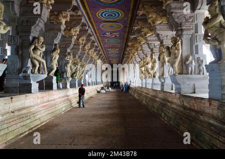 Der Ramanathaswamy-Tempel in Rameshwaram ist ein riesiges Labyrinth großer galerien. Hier ist der Korridor von 1000 Säulen Stockfoto