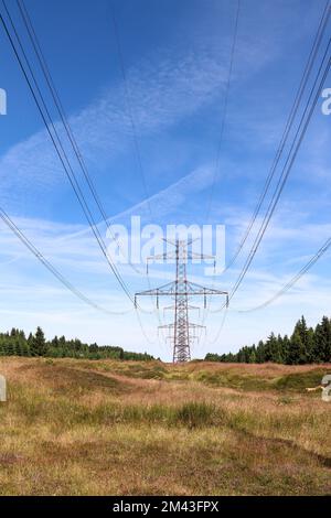 Hochspannungsleitungen - Industriebau Stockfoto