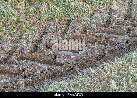 Gefrorenes Wasser auf großen Traktorschienen des Betriebs. Für kaltes Wetter, Leben auf dem Bauernhof, Winter auf dem Bauernhof. Stockfoto