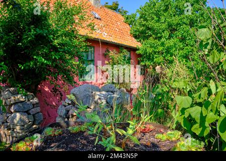 Unterwegs auf den Ertholmen-Inseln, historisches Bauwerk und Hof auf Frederiksö, Ertholmene, Dänemark, Skandinavien, Europa. Stockfoto