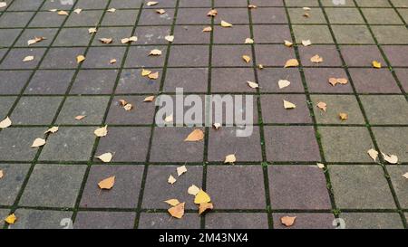 Der minimalistische Herbsthintergrund besteht aus einer gepflasterten Fußgängeroberfläche mit heruntergefallenen gelben Blättern, einem Stadtplatz mit alten texturierten Fliesen und heruntergefallenen Blättern Stockfoto