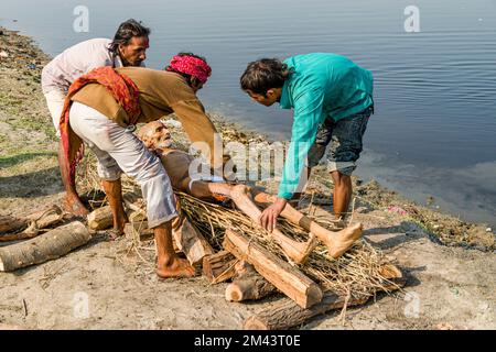 Als Teil einer Einäscherungszeremonie eine Tote auf Feuerholz am Ufer des Flusses Yamuna zu legen Stockfoto