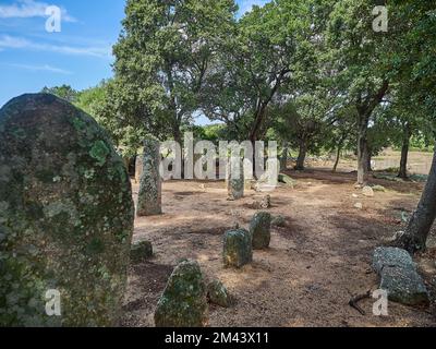 Korsika, Frankreich - 09 26 2017: Menhir Alignment of Stantari ist eine archäologische Stätte auf der Insel Korsika, Frankreich Stockfoto