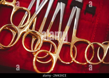 Nahaufnahme einer Sammlung zahnärztlicher Scheren. Stockfoto