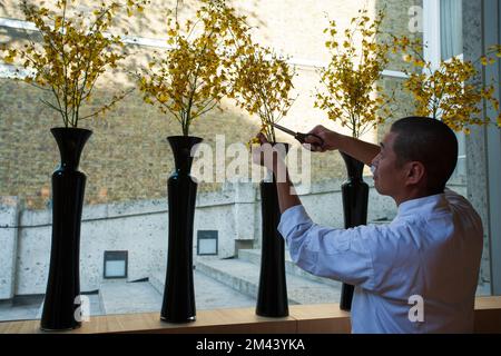 Ein Mann schneidet Blumen mit einer Schere im Restaurant Sake No Hana in London, Großbritannien Stockfoto