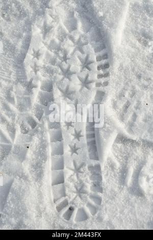 Fußabdruck, sternförmige Schuhspuren im frischen Schnee an einem sonnigen Wintertag Stockfoto