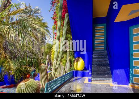 Die helle blaue Wand der Villa und der Kaktusgarten nebenan. Einer der Besitzer der Villa war in der Vergangenheit Icon-Modedesigner Yves Saint Lauren von Maj Stockfoto