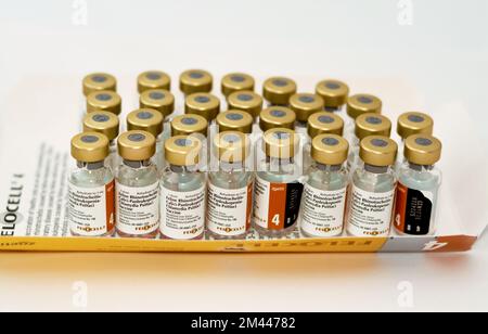 Kairo, Ägypten, Dezember 17 2022: Felocell 4, modifizierte lebende attenuierte Stämme Impfstoff felines Rhinotracheitis-Virus, Calicivirus, Panleukopenie-Virus ( Stockfoto