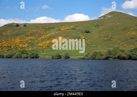 Lac de Guéry ist ein See in Puy-de-Dôme, Frankreich Stockfoto