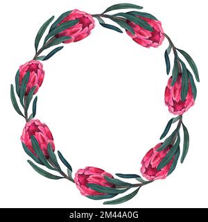 Handbemalter Kranz mit Aquarell-Magenta-protea-Blumen. Stockfoto